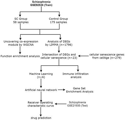 Schizophrenia and cell senescence candidate genes screening, machine learning, diagnostic models, and drug prediction